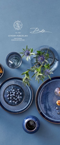 BITZ + Lyngby Porcelaen