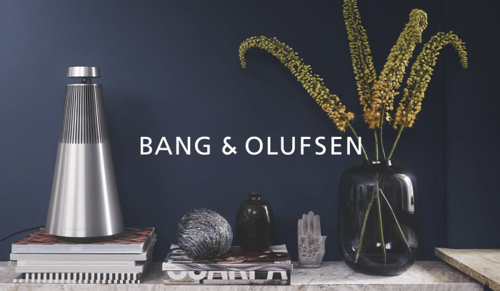 bang_olufsen_outlet_2_CM