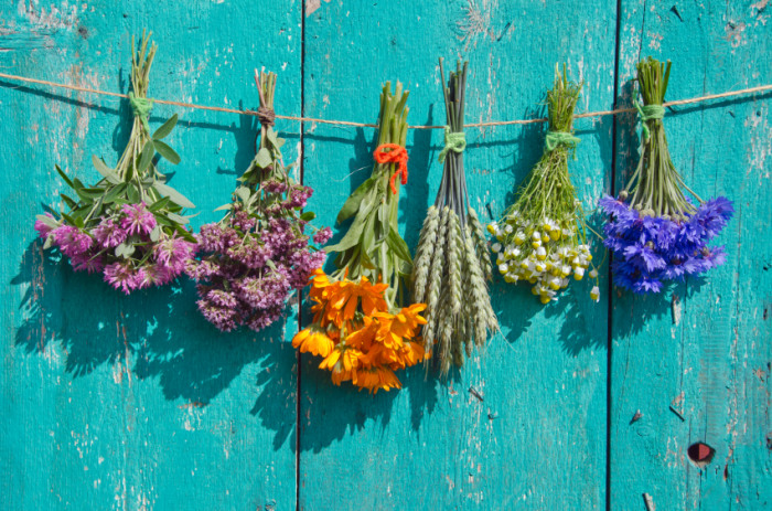 flower meanings