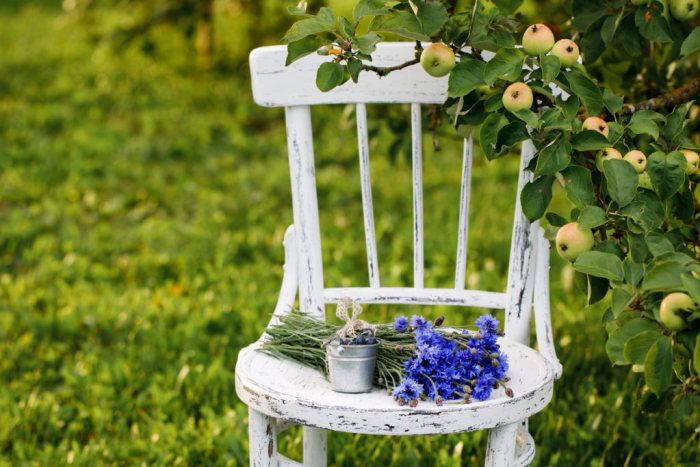 Shabby chic