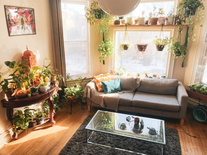 Urban jungle salon