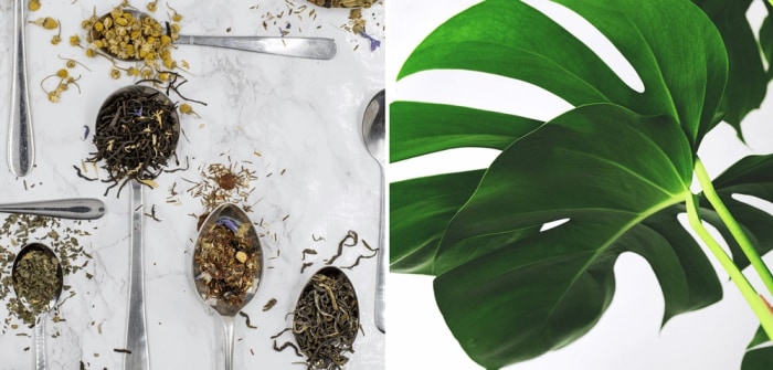 regalos de san valentin ecologicos
